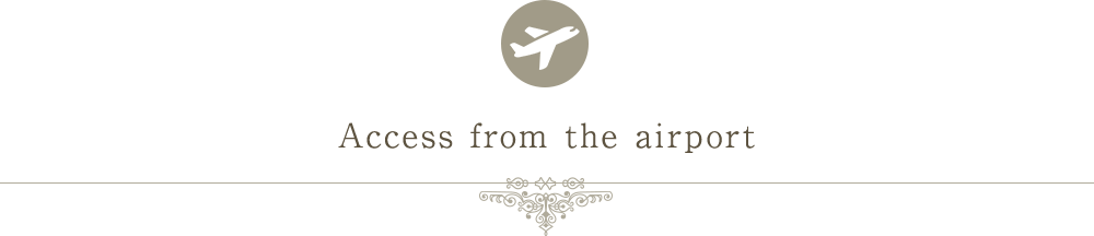 Access from the airport